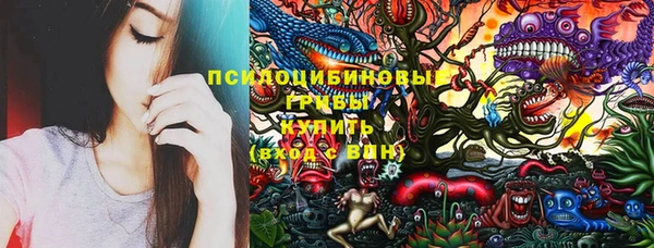 молекула духа Верея